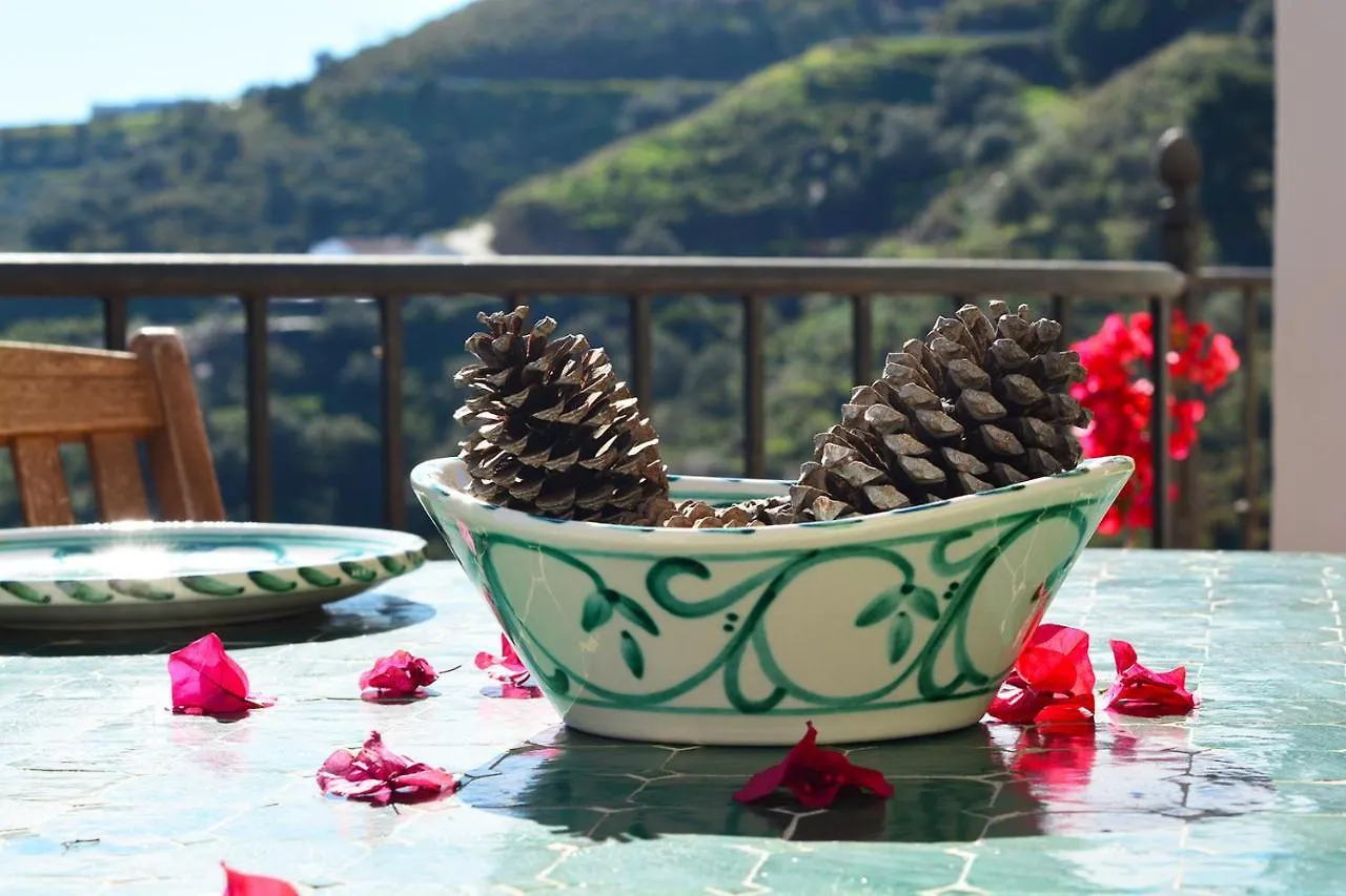 Casa Amarilla, Frigiliana Luxury Country Villa With Pool And Parking Hansonholiday Rentals Apartment