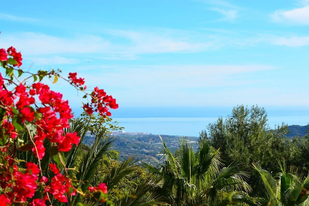 Casa Amarilla, Frigiliana Luxury Country Villa With Pool And Parking Hansonholiday Rentals 0*,